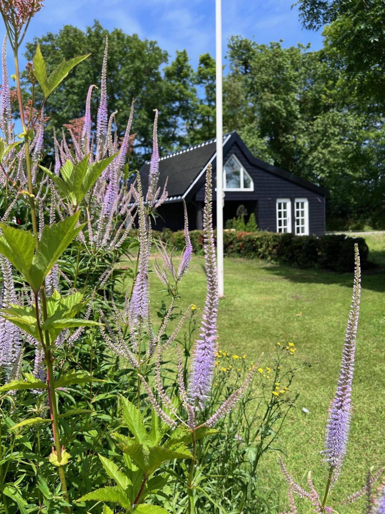 Het Zomerhuis Lodge Bakkum