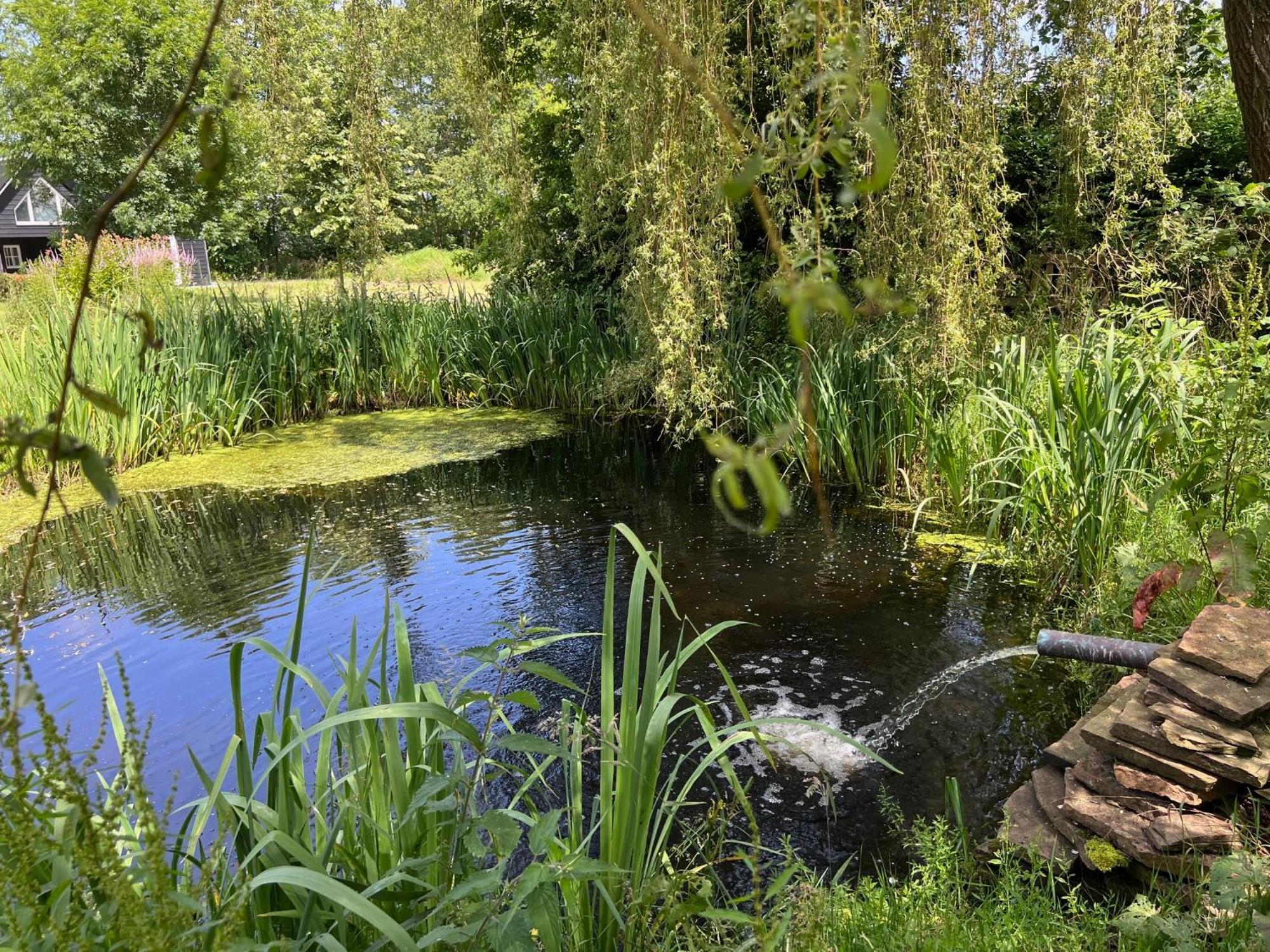 Lodge Het Zomerhuis Bakkum